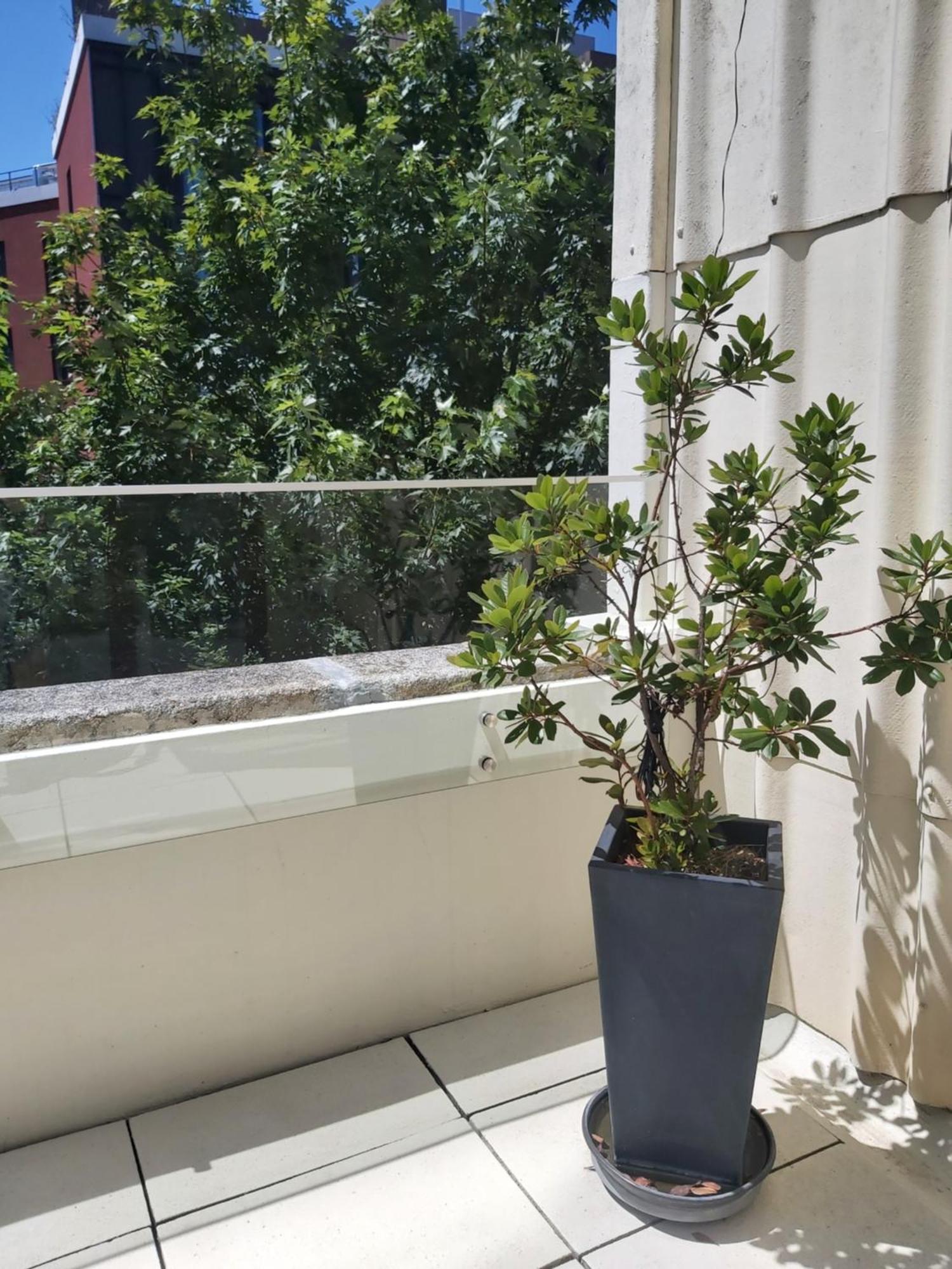 Porto Terrace Apartment Buitenkant foto
